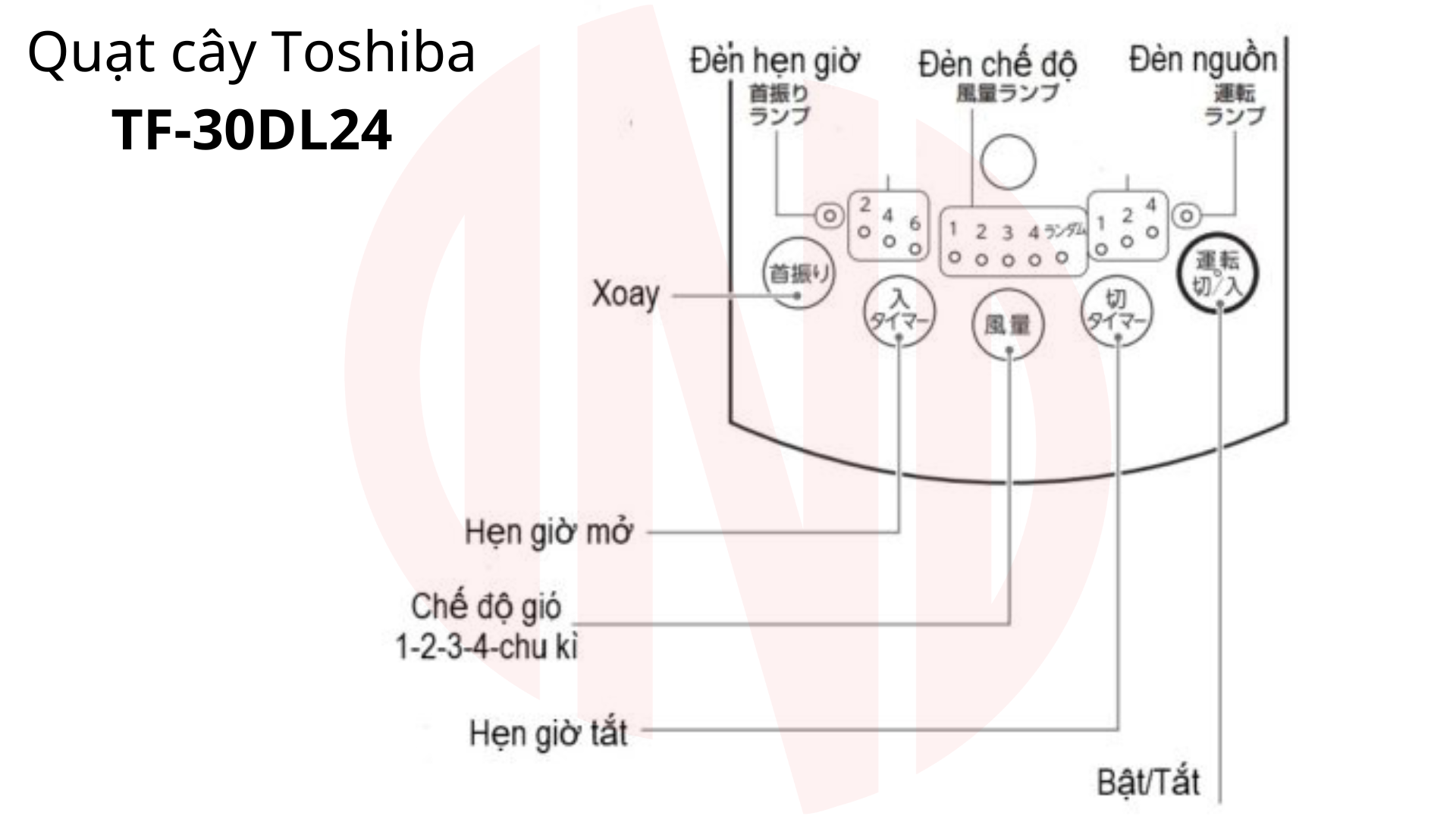 Hướng dẫn sử dụng Quạt cây Toshiba TF-30DL24 