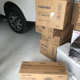 Quạt cây Toshiba TF-30AL25 model 2022, 7 cánh quạt kháng bụi