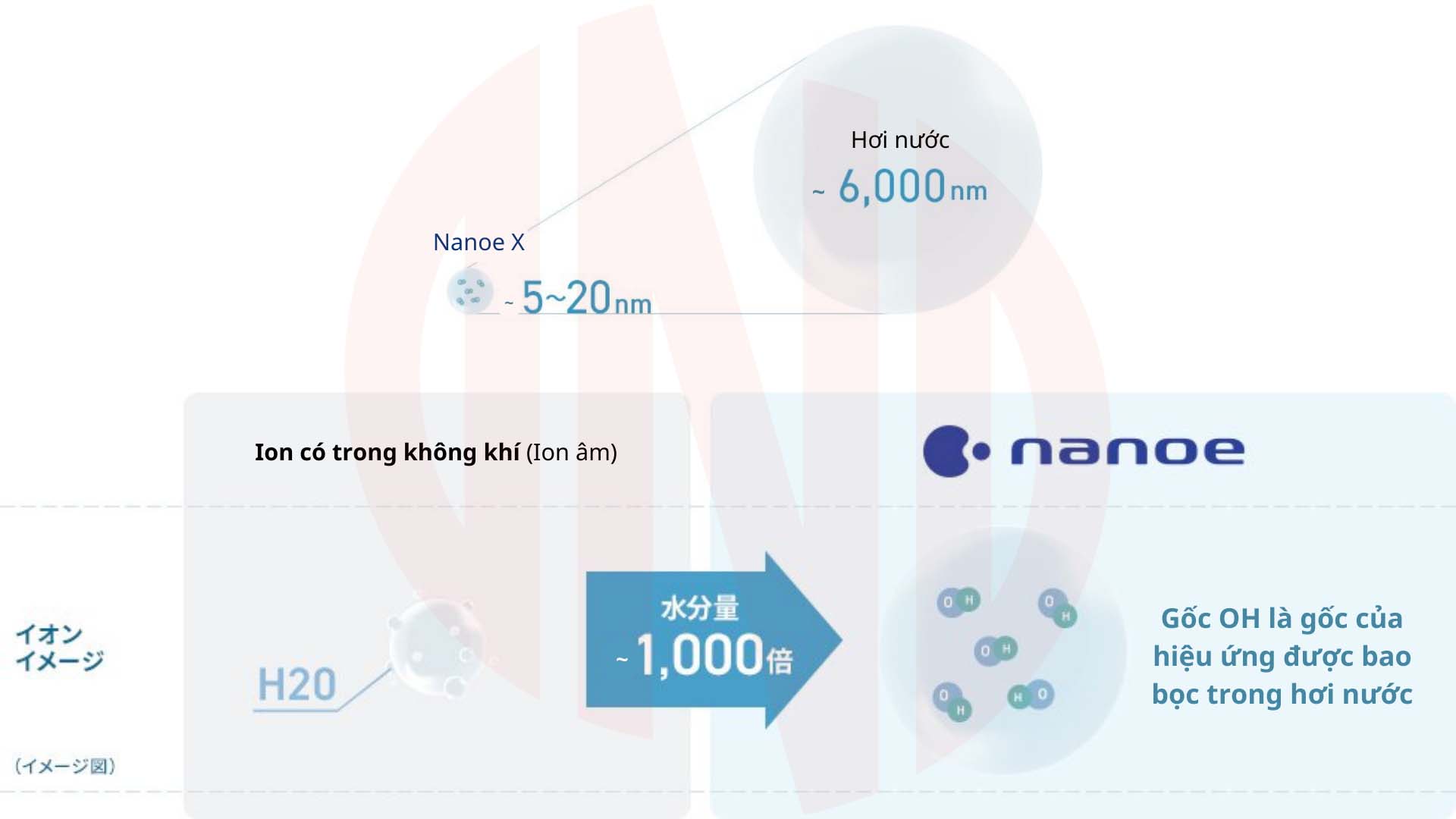 Nanoe - Nanoe X là gì?
