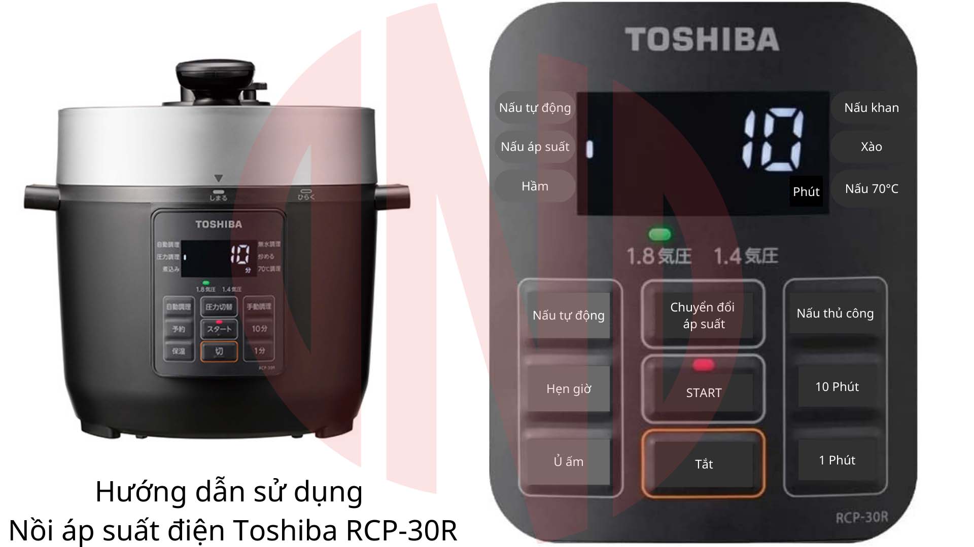 Nồi áp suất điện Toshiba RCP-30R