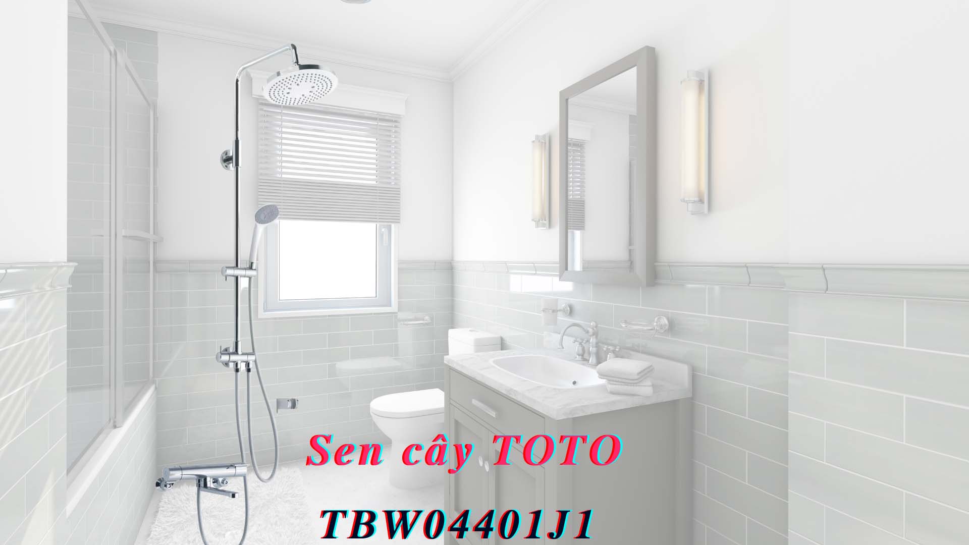 Sen-cay-toto-TBW04401J1