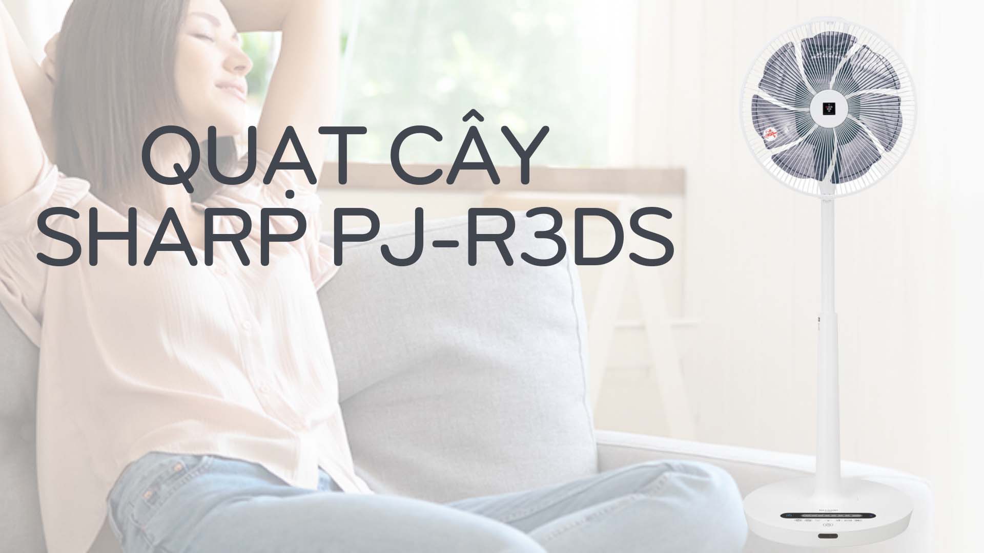 quat-cay-sharp-pj-r3ds